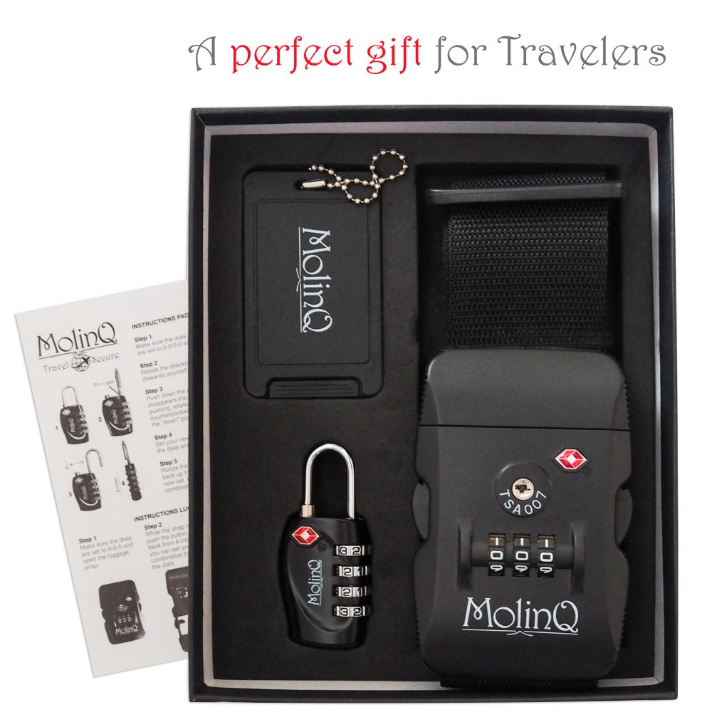 Travel Lock Set